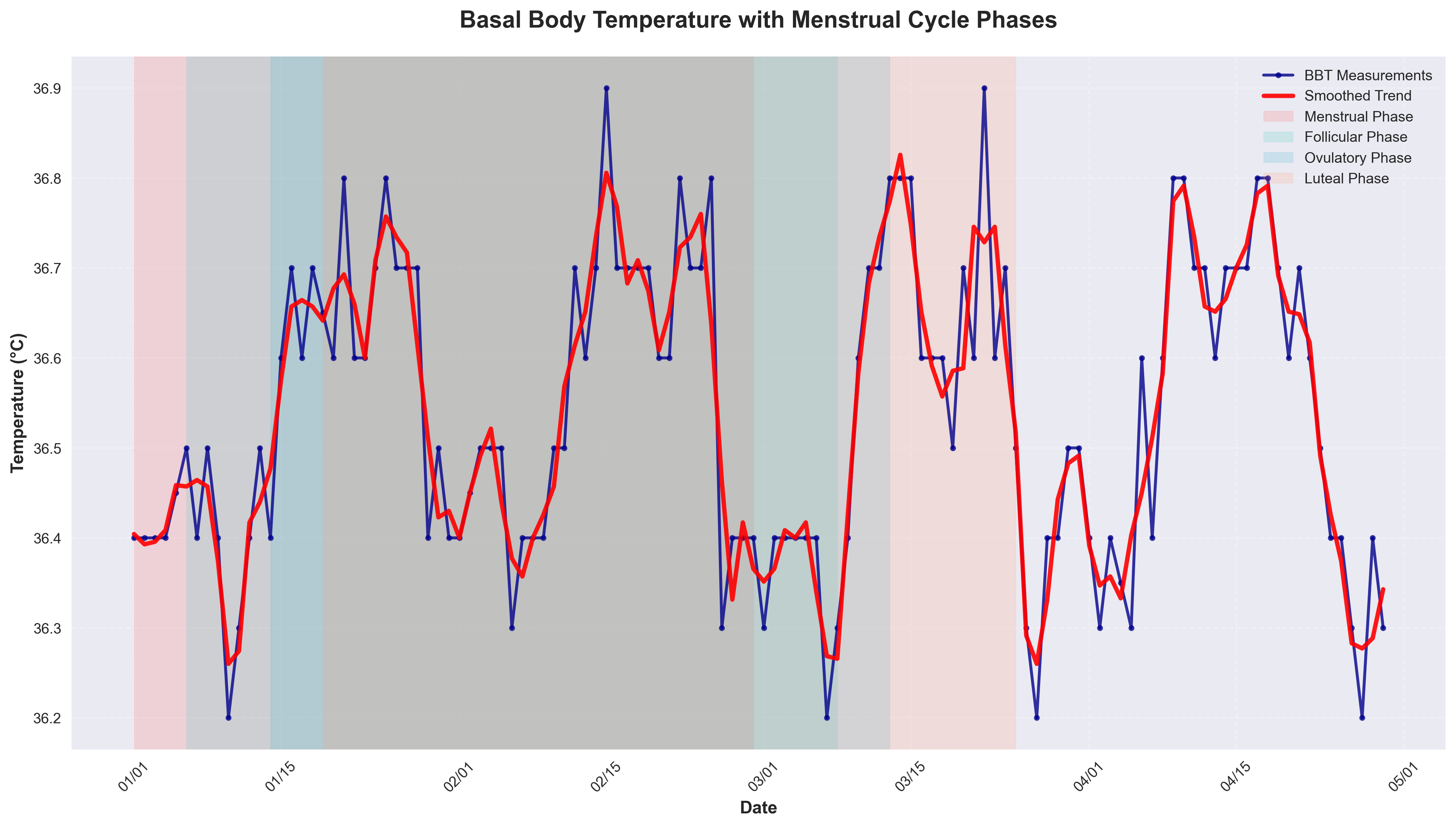 Women's Health Model Screenshot